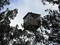 Wofford tower lookout cab