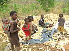 Zambian woman and her kids peeling maize