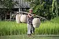 Woman carrying wicker baskets, Laos
