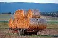 Hay wagon at Woodville