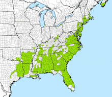 Map of the southeastern United States showing the species' distribution in green, including a disjunct population in Nova Scotia, Canada