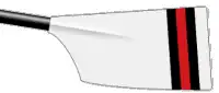 Image showing the rowing club's blade colours