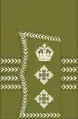 World War I colonel's rank insignia (general pattern)