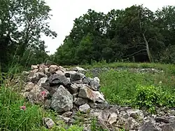 Worlebury Camp: a large multivallate hillfort on Worlebury Hill