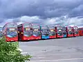 Lineup of Wright Pulsar Geminis (the two blue buses are Wright Eclipse Geminis)
