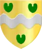 Coat of arms of Witmarsum