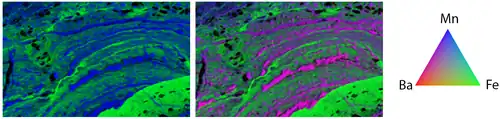 Bicolor (left) and tricolor (right) X-ray fluorescence maps of the distribution of Mn, Fe, and Ba in a ferromanganese nodule from Lake Baikal. Size = 5 mm (H) x 3 mm (V).