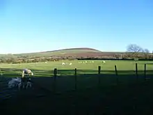 bracken-covered hill in the background with trees and fields in the foreground