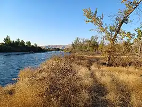 Shrubs and trees next to a river with brown hills in background