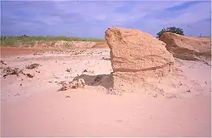 Wind-carved, sandstone yardang in a blowout near Meadow, Texas (Stout, 2002)