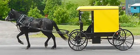 Yellow topped buggy of the Byler Amish in Belleville, Pennsylvania