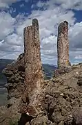 Fossilized trees on Specimen Ridge