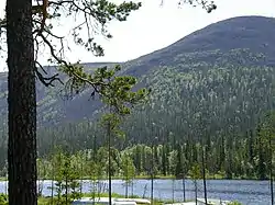 Lake Kesänki at Ylläs