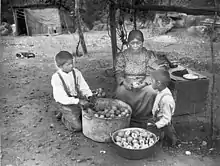 Yokuts woman and two boys preparing peaches on the Tule River Reservation ~1900AD