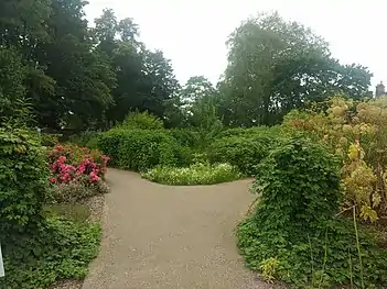 The 'Edible Wood' in July 2019