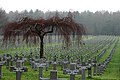 Ysselsteyn, German War Cemetery