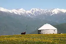 Yurt in Tekeli