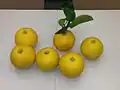 Citrus Yuko