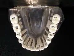ISO notation lower jaw