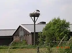 Ooievaarsdorp in Zegveld