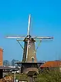 Windmill Zeldenrust