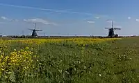 Windmill: de Tweemanspolder Molen No. 1 and 2