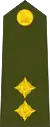 Lieutenant(Zimbabwe National Army)