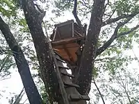 Tree house