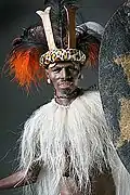 Zulu Warrior