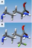 Figure 1(A) 3D structure of L-Ornithine (B) 3D structure of Eflornithine. This molecule is similar to the structure of L-Ornithine, but its alpha-difluoromethyl group allows interaction with Cys-360 in the active site