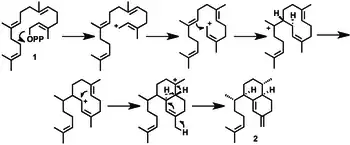 Formation of a cyclohexane from a non-cyclic compound via a Cyclization Reaction