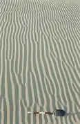 Wind ripples with dislocations in Sistan, Afghanistan