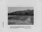 Photograph "Rancheria Indian Cemetery below Pincushion Peak, Table Mountain, Fresno County," from report "History of... - NARA - 296225