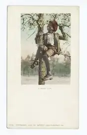 "A Treed Coon" postcard, published c. 1900 by Detroit Pub. Co. (NYPL Collection)