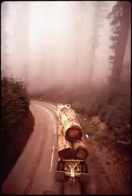 Logging trucks move through park from cutting near park boundary