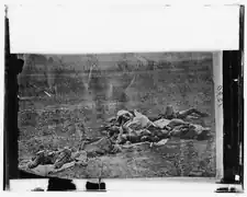Dead soldiers