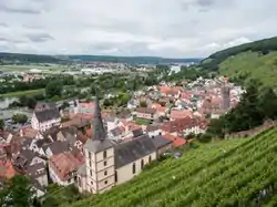View of the town from the Clingenburg