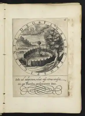 Emblem 6 from Emblemata volsinnighe uytbeelsels. Arnhem, J. Ianszen, 1615. The English translation of the subscriptio is as follows: "Like a rose in spring thrives under the face of the sun, so shall I bloom when God foresees me".