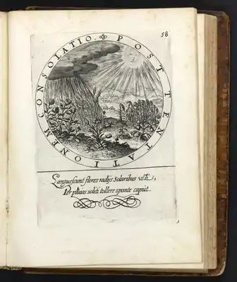 Emblem 58 from Les emblemes. Arnhem, J. Iansonium, 1611. The English translations of the motto and subscriptio are as follows: "Consolation after tribulation" and "Flowers wither, burned by the sun's rays, In the rain they usually lift their heads on their own".