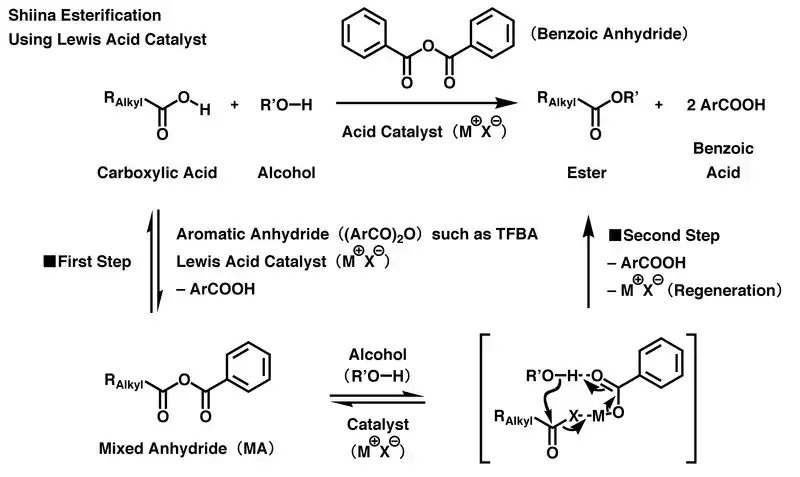Shiina esterification using Lewis acid catalyst
