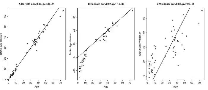 Comparison of the 3 age predictors described in A) Horvath (2013), B) Hannum (2013), and C) Weidener (2014), respectively. The x-axis depicts the chronological age in years whereas the y-axis shows the predicted age. The solid black line corresponds to y=x. These results were generated in an independent blood methylation data set that was not used in the construction of these predictors (data generated in Nov 2014).