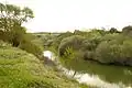 Río Manzanares en el Monte de El Pardo