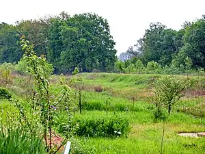 Stanichno-Luhansk Reserve