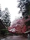 Chūson-ji en invierno.