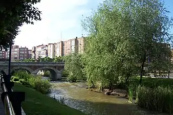 Uno de los puentes peatonales que se construyeron en el nuevo cauce