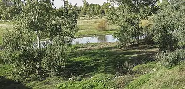 El río en Carlet