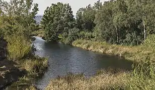 El Magro cuando pasa por La Alcudia (Valencia)