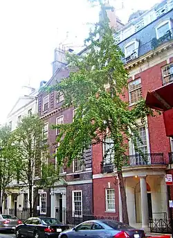 East 80th Street Houses