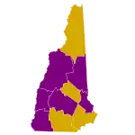 Primarias del Partido Demócrata de 2008 en Nuevo Hampshire
