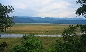 Dhikala Forest Lodge, mirando por encima del embalse de Ramganga